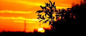 Preview wallpaper branch, leaves, dark, outlines, sunset, sky