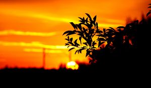 Preview wallpaper branch, leaves, dark, outlines, sunset, sky