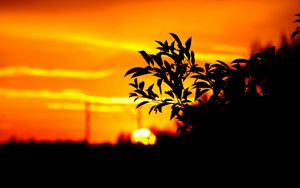 Preview wallpaper branch, leaves, dark, outlines, sunset, sky