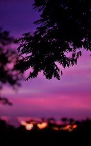 Preview wallpaper branch, leaves, dark, sky, dusk