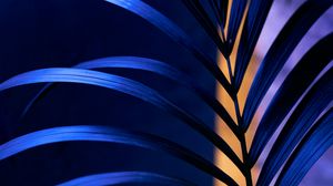 Preview wallpaper branch, leaves, plant, macro, dark