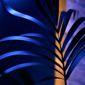 Preview wallpaper branch, leaves, plant, macro, dark