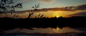 Preview wallpaper branch, leaves, river, trees, twilight