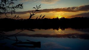 Preview wallpaper branch, leaves, river, trees, twilight