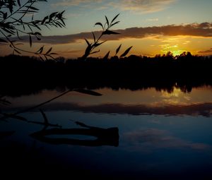 Preview wallpaper branch, leaves, river, trees, twilight