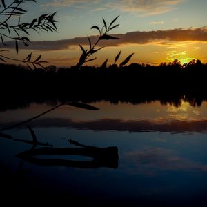 Preview wallpaper branch, leaves, river, trees, twilight