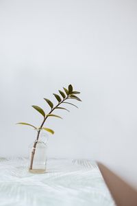 Preview wallpaper branch, leaves, vase, table
