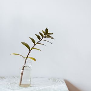 Preview wallpaper branch, leaves, vase, table