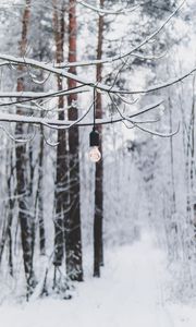 Preview wallpaper branch, light bulb, forest, snow, winter