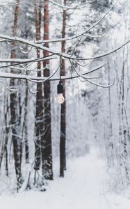 Preview wallpaper branch, light bulb, forest, snow, winter