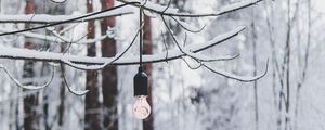 Preview wallpaper branch, light bulb, forest, snow, winter