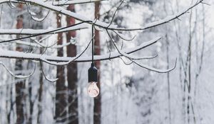 Preview wallpaper branch, light bulb, forest, snow, winter