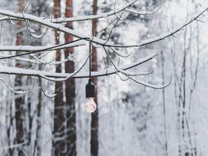 Preview wallpaper branch, light bulb, forest, snow, winter