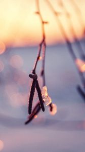 Preview wallpaper branch, light, snow, ice, winter, sunshine