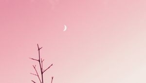 Preview wallpaper branch, moon, clouds, minimalism, pink