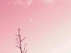 Preview wallpaper branch, moon, clouds, minimalism, pink