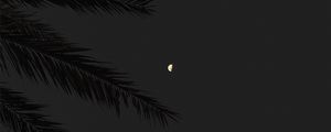 Preview wallpaper branch, moon, full moon, night, sky