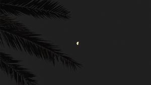 Preview wallpaper branch, moon, full moon, night, sky