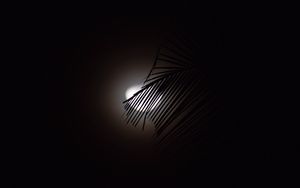 Preview wallpaper branch, moon, silhouette, dark