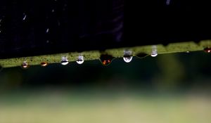 Preview wallpaper branch, plant, drops, dew, dark