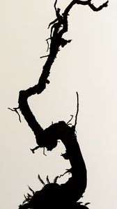 Preview wallpaper branch, silhouette, minimalism, bw