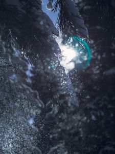 Preview wallpaper branch, snow, glare, bokeh, shine, bright