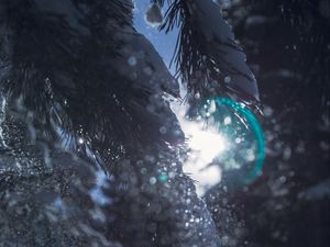 Preview wallpaper branch, snow, glare, bokeh, shine, bright