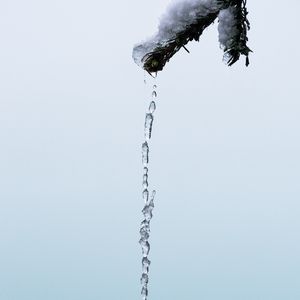 Preview wallpaper branch, snow, icicle, ice, macro, minimalism