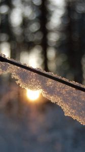 Preview wallpaper branch, snow, light, glare, forest