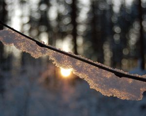 Preview wallpaper branch, snow, light, glare, forest