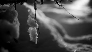 Preview wallpaper branch, snow, macro, winter, black and white