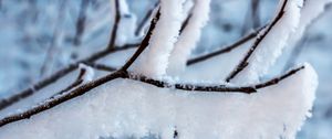 Preview wallpaper branch, snow, winter, white, macro