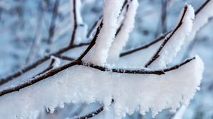 Preview wallpaper branch, snow, winter, white, macro