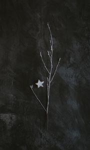 Preview wallpaper branch, star, minimalism, gray