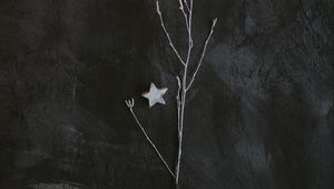 Preview wallpaper branch, star, minimalism, gray