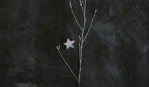 Preview wallpaper branch, star, minimalism, gray