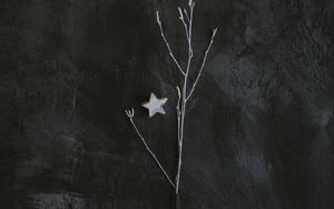 Preview wallpaper branch, star, minimalism, gray