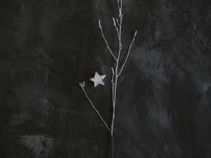 Preview wallpaper branch, star, minimalism, gray