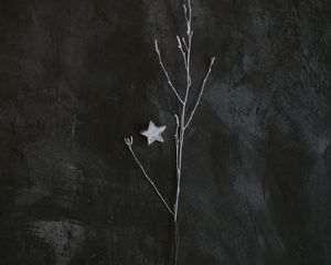 Preview wallpaper branch, star, minimalism, gray