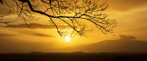 Preview wallpaper branch, tree, silhouette, twilight, nature