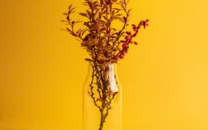 Preview wallpaper branch, vase, minimalism, yellow