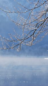 Preview wallpaper branch, water, tree, winter