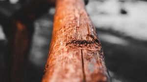 Preview wallpaper branch, wood, macro