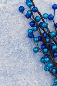 Preview wallpaper branches, balls, frost, winter, blue