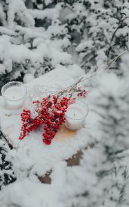 Preview wallpaper branches, berries, candles, snow