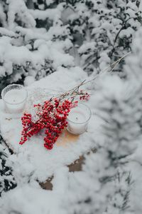 Preview wallpaper branches, berries, candles, snow
