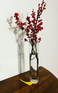 Preview wallpaper branches, berries, vase, decor, minimalism