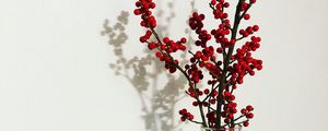 Preview wallpaper branches, berries, vase, decor, minimalism