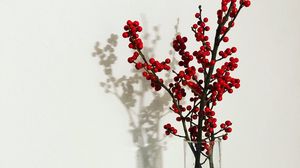 Preview wallpaper branches, berries, vase, decor, minimalism