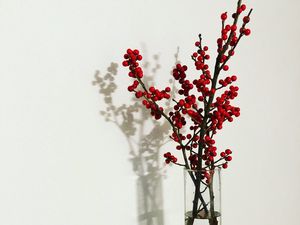 Preview wallpaper branches, berries, vase, decor, minimalism